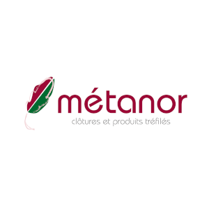 Metanor