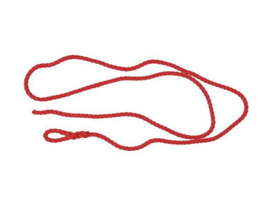 Lac vêlage 2m nylon 8mm  rouge