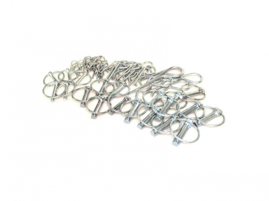 Sachet 30 bétas + 20 clips