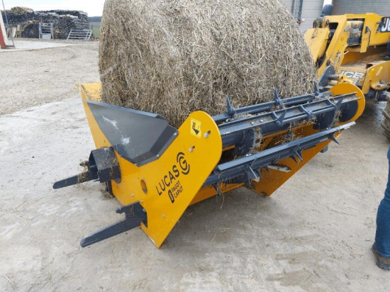 LUCAS - UBI PIC - FIX - 2025