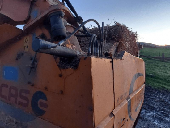 LUCAS - CASTOR 20 - 2011