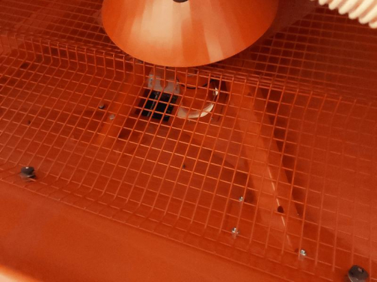 MASCHIO - GASPARDO - DOMINATOR - 2018