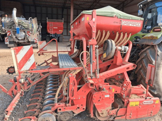 MASCHIO - GASPARDO - DOMINATOR - 2018