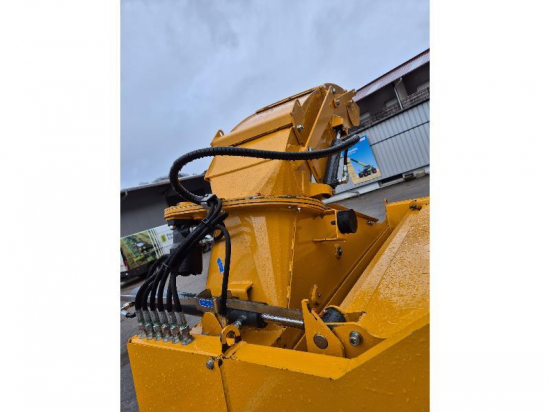 LUCAS - CASTOR 20 - 2024