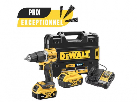 PERCEUSE DEWALT DCD100 18V + 2X5AH