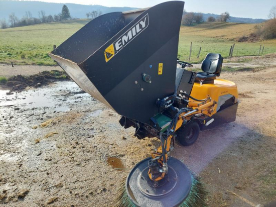 EMILY - AM 317 - 2018