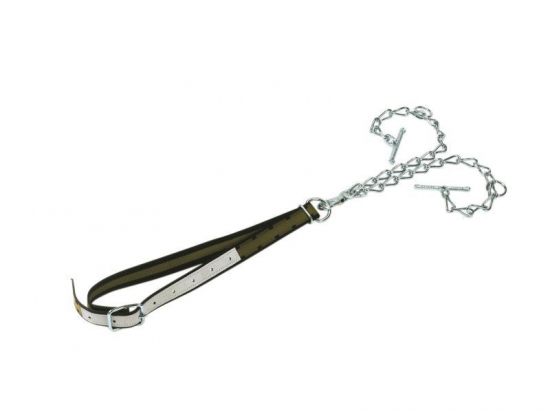 Attache bovins avec collier 13