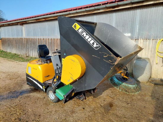 EMILY - AM 317 - 2018