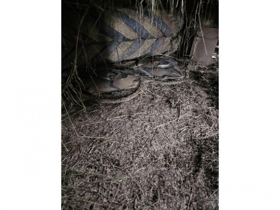 CLAAS RECOLTE - DISCO 3200 RC - 2020