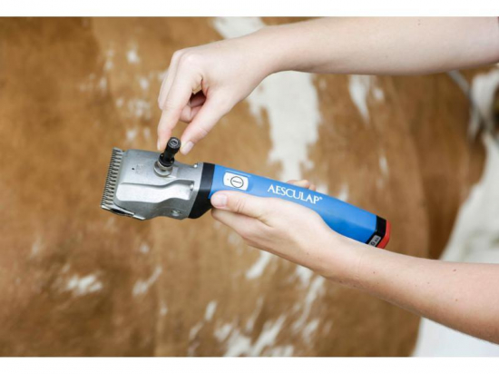 Torqui Aesculap Econom