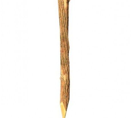 PIQUET ACACIA FENDU  1.80m