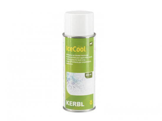 Spray regrigerant IceCool 400 ml