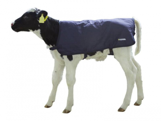 COUVERTURE VEAU EASY WEAR