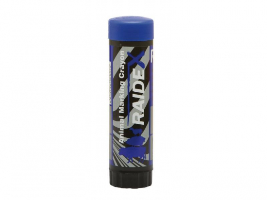 Crayon Raidex plastique bleu