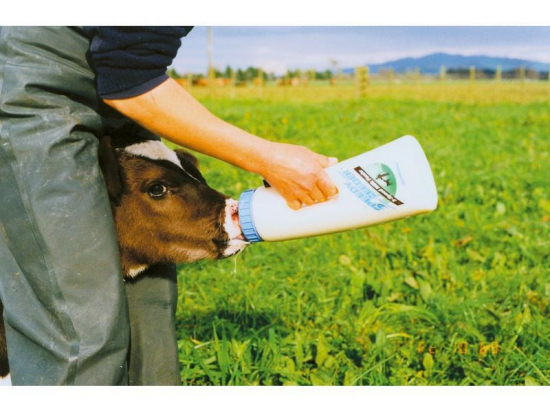 Speedy Feeder XL, 4L