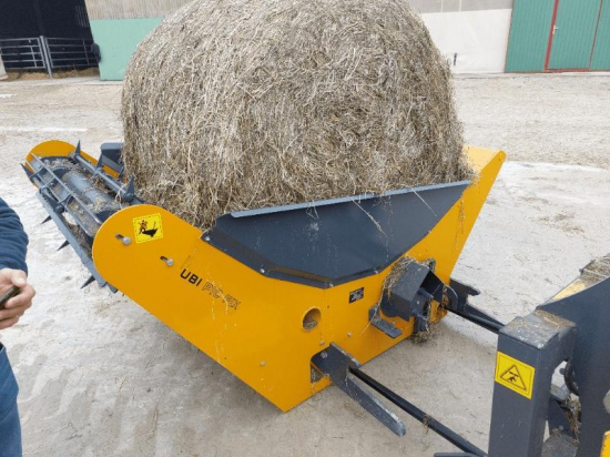 LUCAS - UBI PIC - FIX - 2025