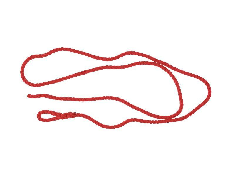 Lac vêlage 2m nylon 8mm  rouge