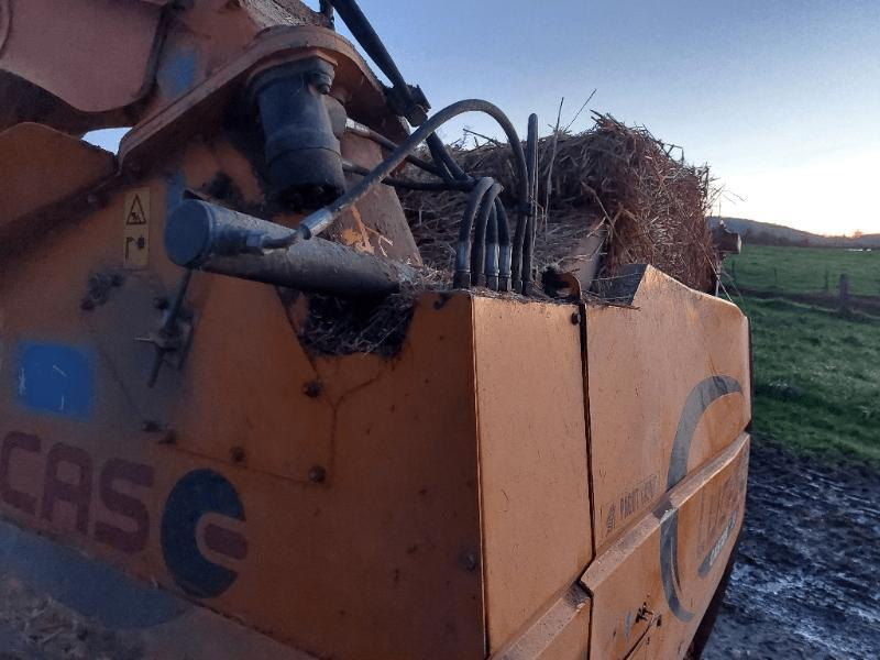 LUCAS - CASTOR 20 - 2011