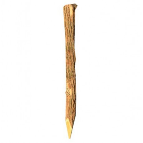 PIQUET ACACIA FENDU  1.80m