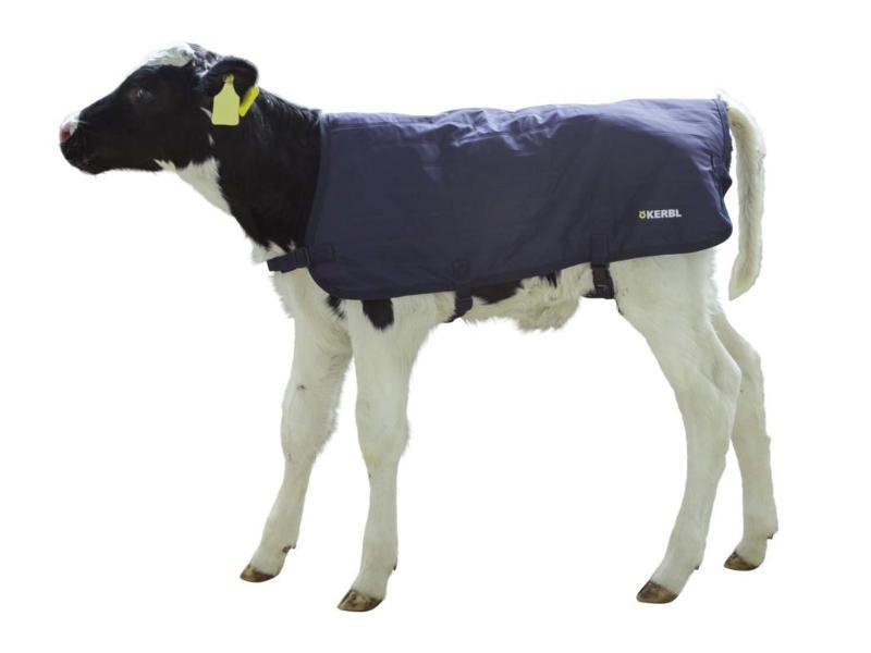 COUVERTURE VEAU EASY WEAR