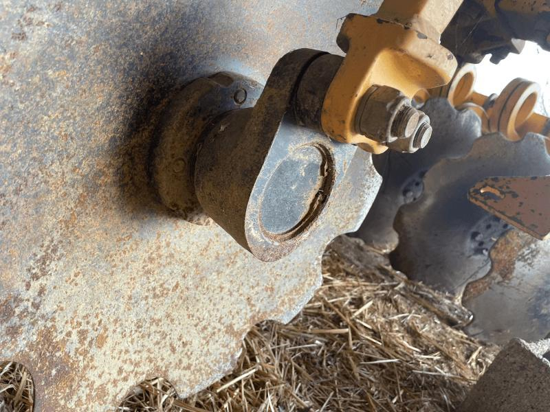 AGRISEM - DOM GOLD - 2014