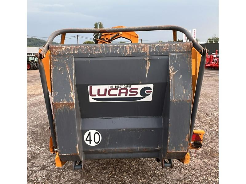 LUCAS - CASTOR + 60 RC - 2013