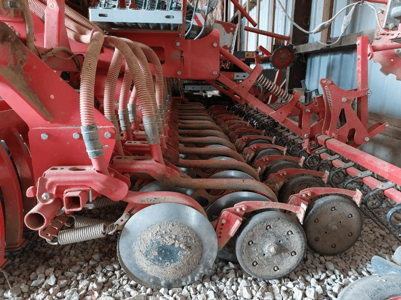 MASCHIO - GASPARDO - DOMINATOR - 2018