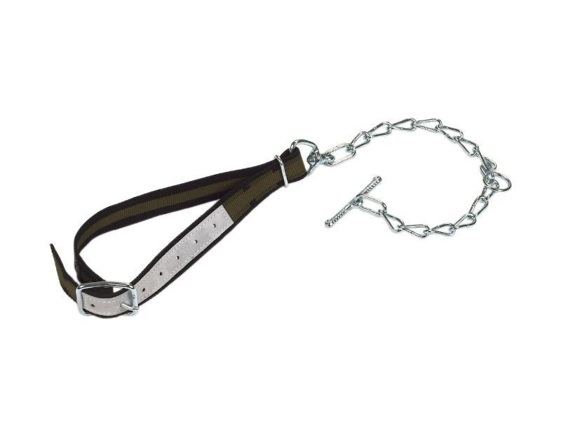 Attache avec collier 100x4cm