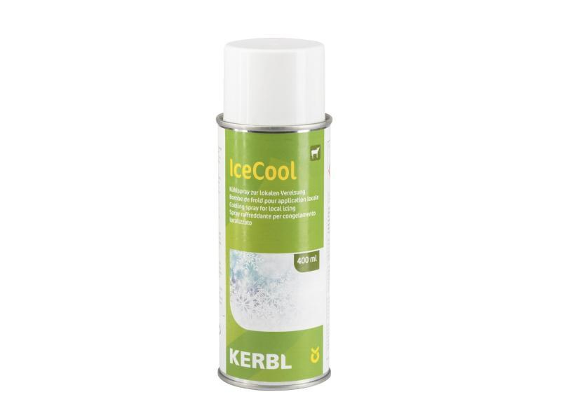 Spray regrigerant IceCool 400 ml