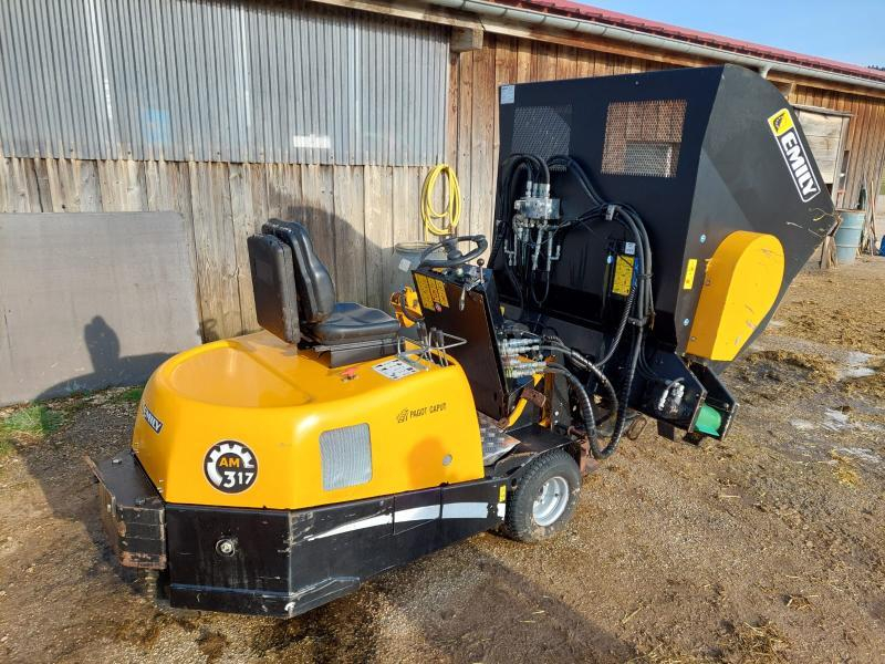 EMILY - AM 317 - 2018