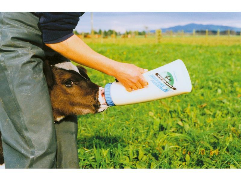 Speedy Feeder XL, 4L