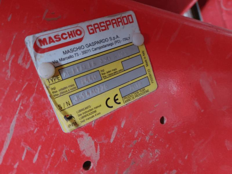 MASCHIO - GASPARDO - DOMINATOR - 2018