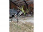 CLAAS RECOLTE - LINER 1700 TWIN - 2018