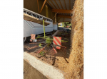 CLAAS RECOLTE - LINER 700 TWIN - 2015