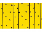 Feuilles attrape mouches  6 pi