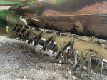 JOHN DEERE - CC 328 - 2008