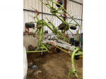 CLAAS RECOLTE - VOLTO 770 - 2010