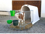 NICHE A VEAU MASTERPLUS AVEC COURETTE