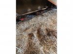 KUHN - GMD 3511-FF 1000 - 2018