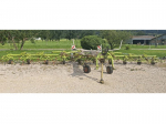 CLAAS RECOLTE - VOLTO 1300 T - 2022