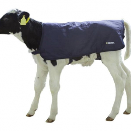 COUVERTURE VEAU EASY WEAR