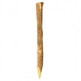 PIQUET ACACIA FENDU  1.80m