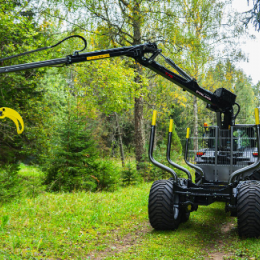 ASTIC JOHN - PALMS 3.67