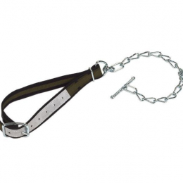 Attache avec collier 100x4cm