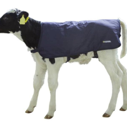 COUVERTURE VEAU EASY WEAR