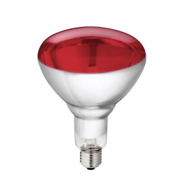 Lampe IR Philips 150W 240