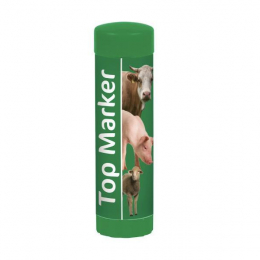 CRAYON MARQUEUR TOPMARKER VERT, 60ML, BA