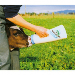 Speedy Feeder XL, 4L