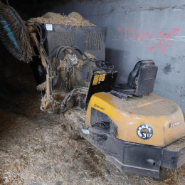 EMILY - AM 317 - 2018