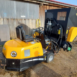 EMILY - AM 317 - 2018